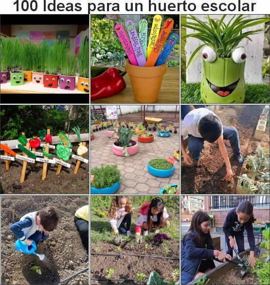Ideas para un huerto escolar