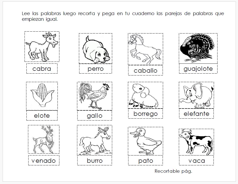 cuadernillo-de-comprension-lectora-anita-la-abejita