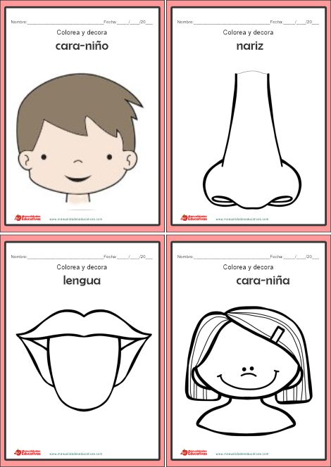 cuerpo humano