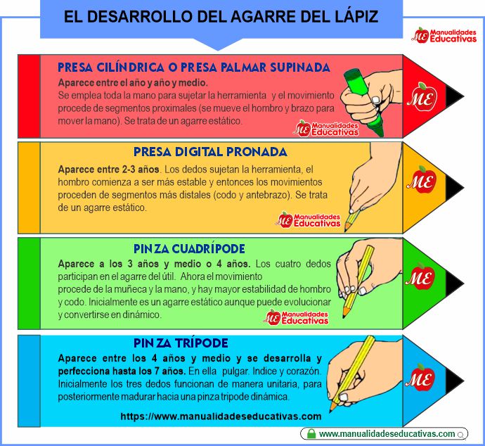 EL DESARROLLO DEL AGARRE DEL LÁPIZ