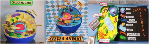 MAQUETAS DE LA CÉLULAS