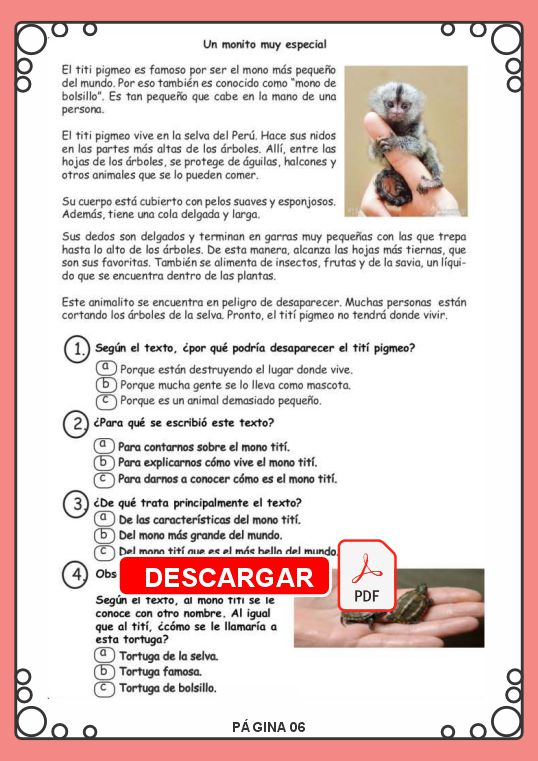 Bloque de Comprensión Lectora