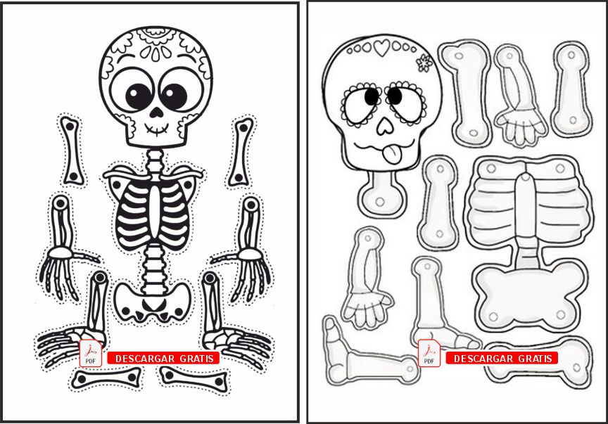 Moldes de esqueleto para colorear y armar 