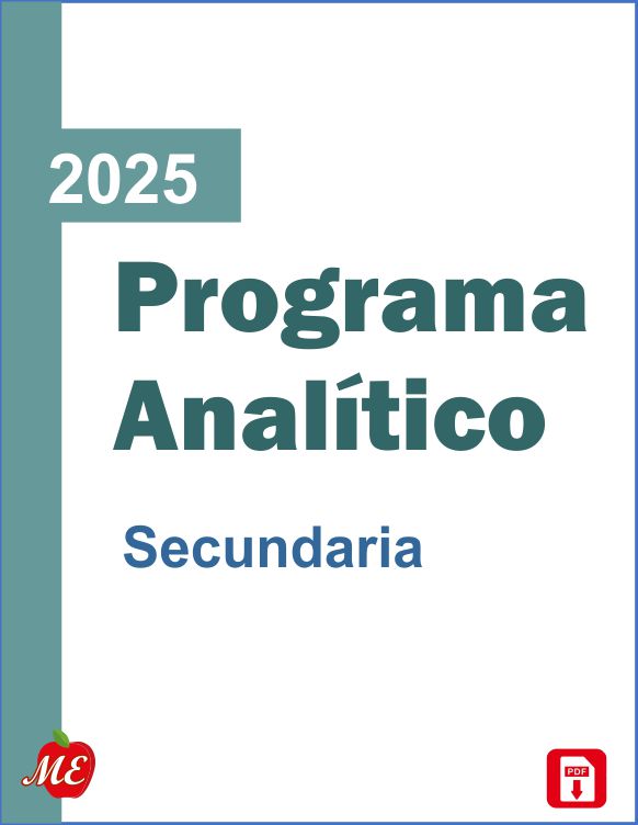 Programa Analítico 2025